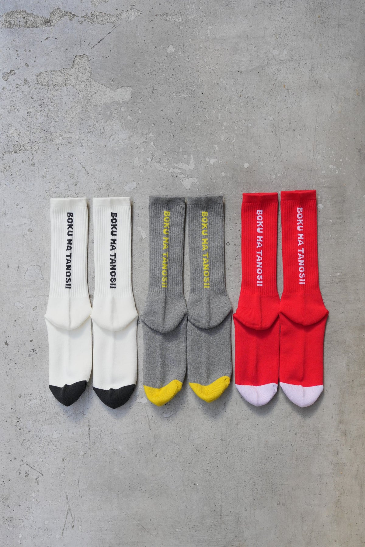 「BOKU HA TANOSII」ボクタノsocks -back logo-