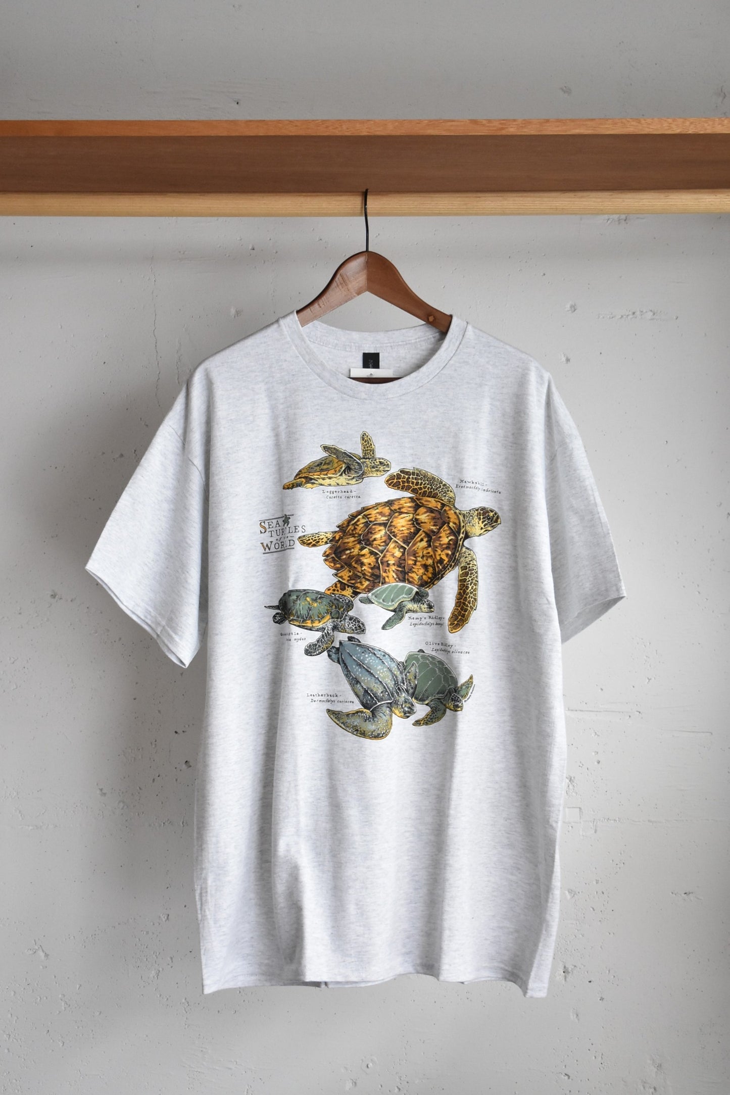 「LIBERTY GRAPHICS」sea turtles of the world