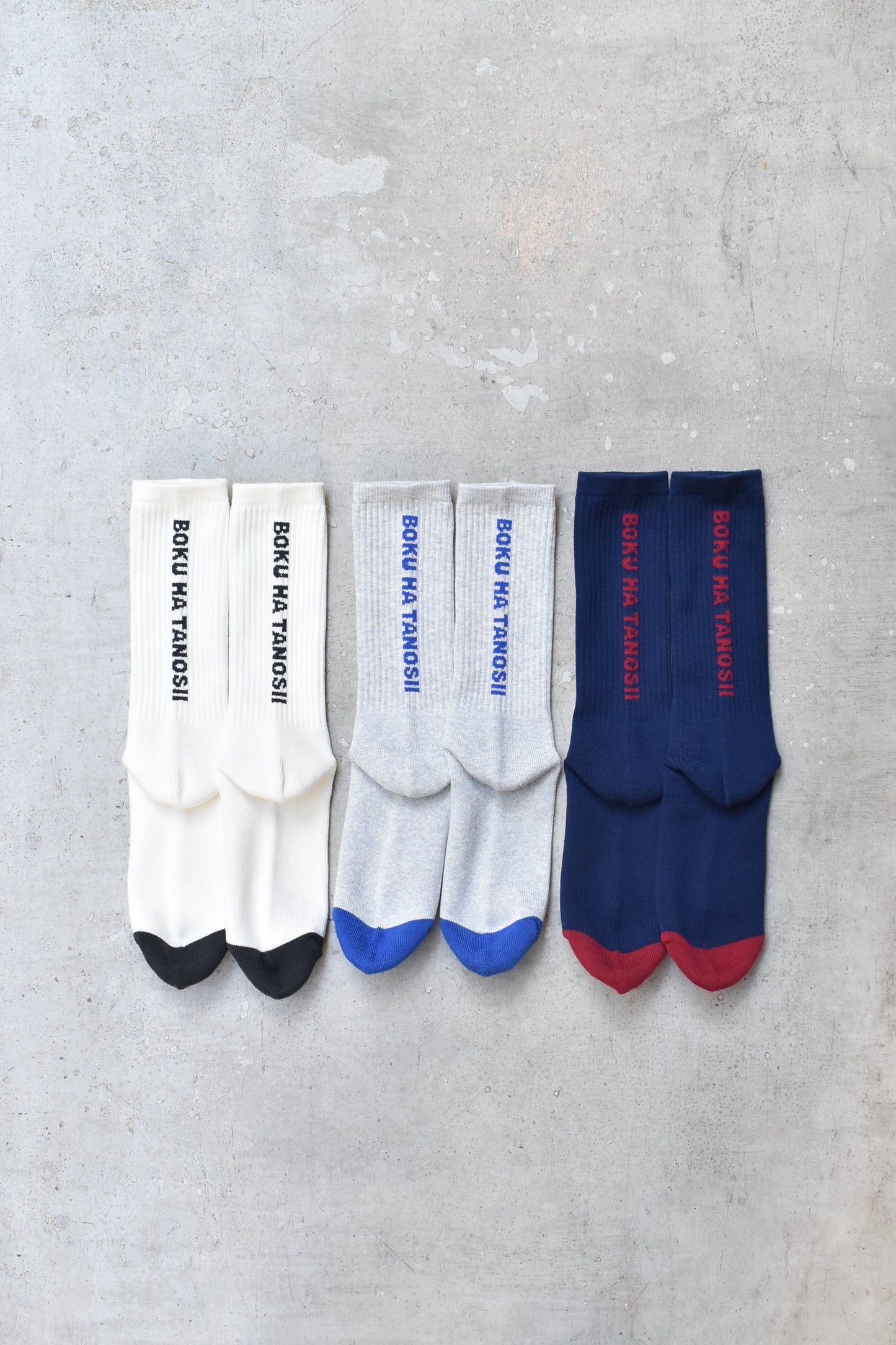 「BOKU HA TANOSII」ボクタノsocks -back logo-