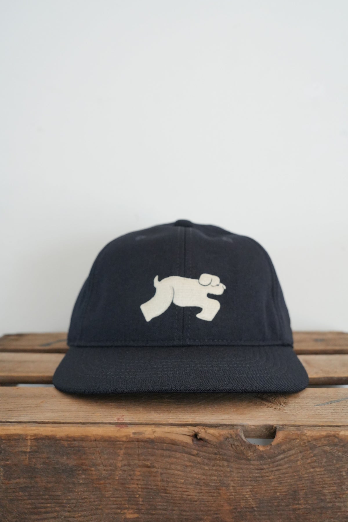 「TACOMA FUJI RECORDS」SHAGGY DOG CAP