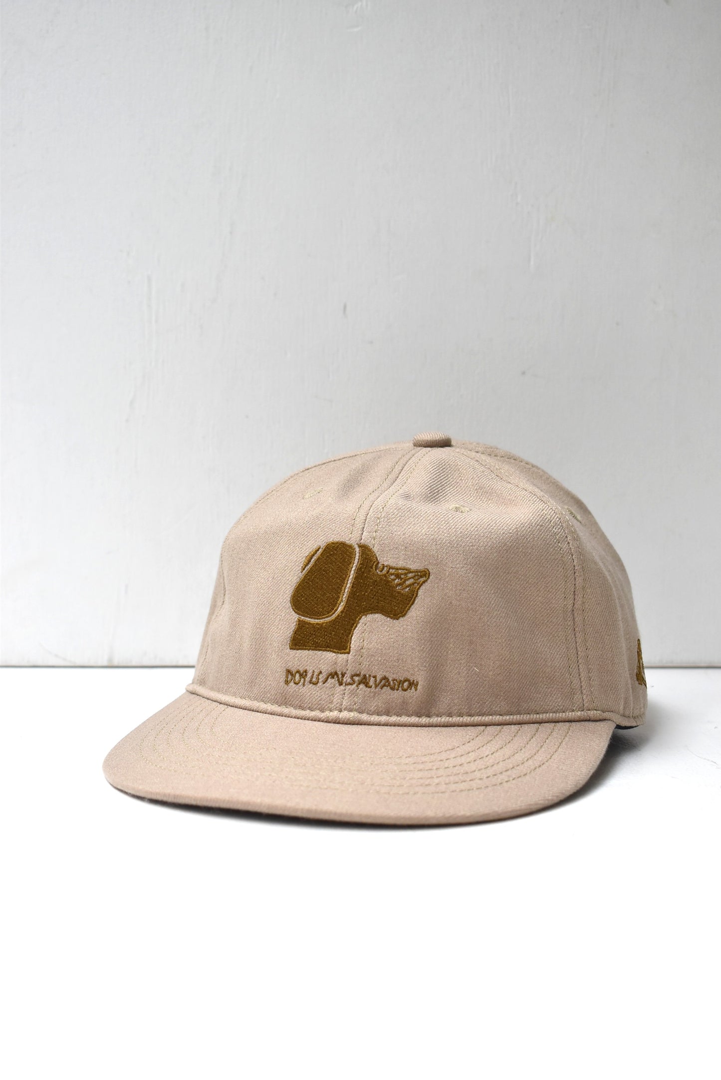 「TACOMA FUJI RECORDS」DOG IS MY SALVATION cap ’25