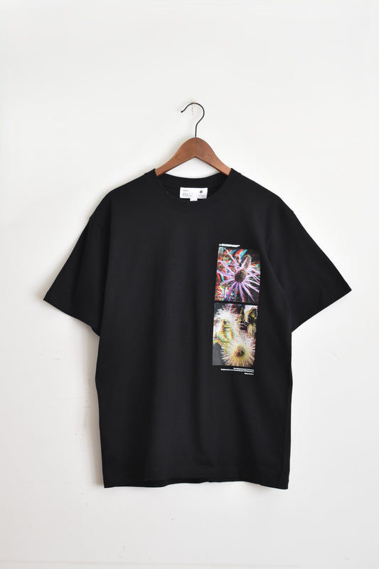 「QUOLT」3D seeds tee -black-